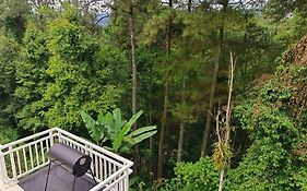 Villa Fortuna - UBUD #Puncak Bogor